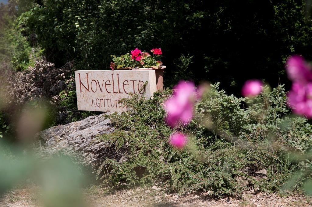 Novelleto Villa มอนเตริจโจนี ภายนอก รูปภาพ